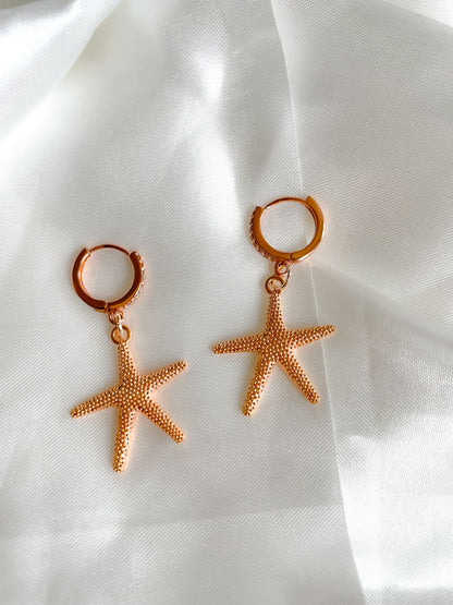 Starfish zirconia Huggies