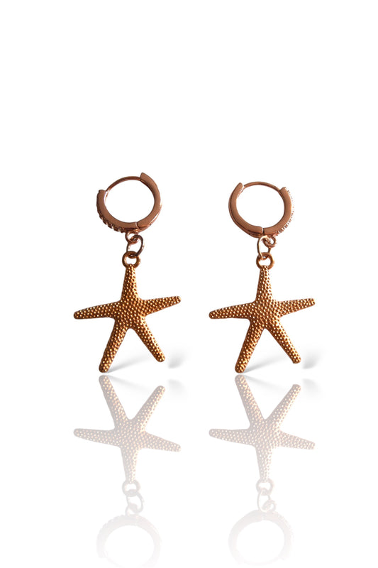 Starfish zirconia Huggies