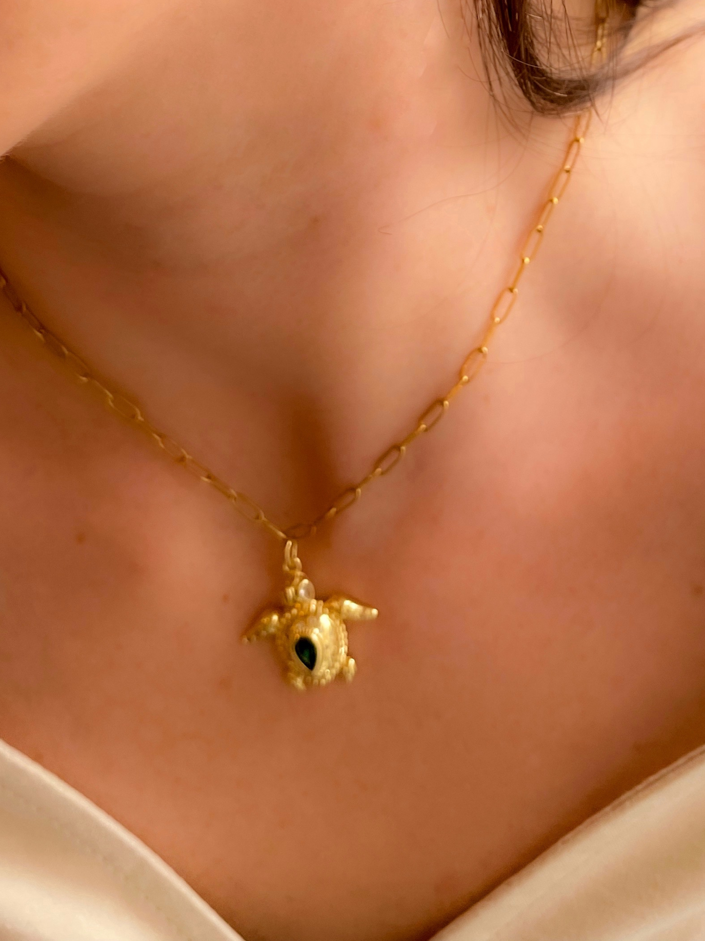 Turtle necklace